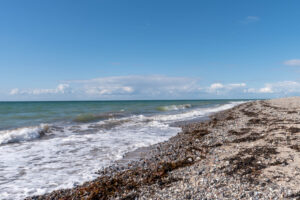 Naturstrand auf der Insel Fehmarn für Erholung und Urlaub mit Hund